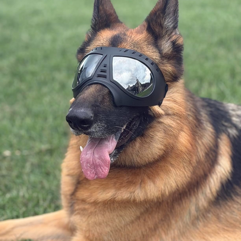 Pet Glasses for medium large-s - Sunglass Retainer Cord บทวิจารณ์และราคา