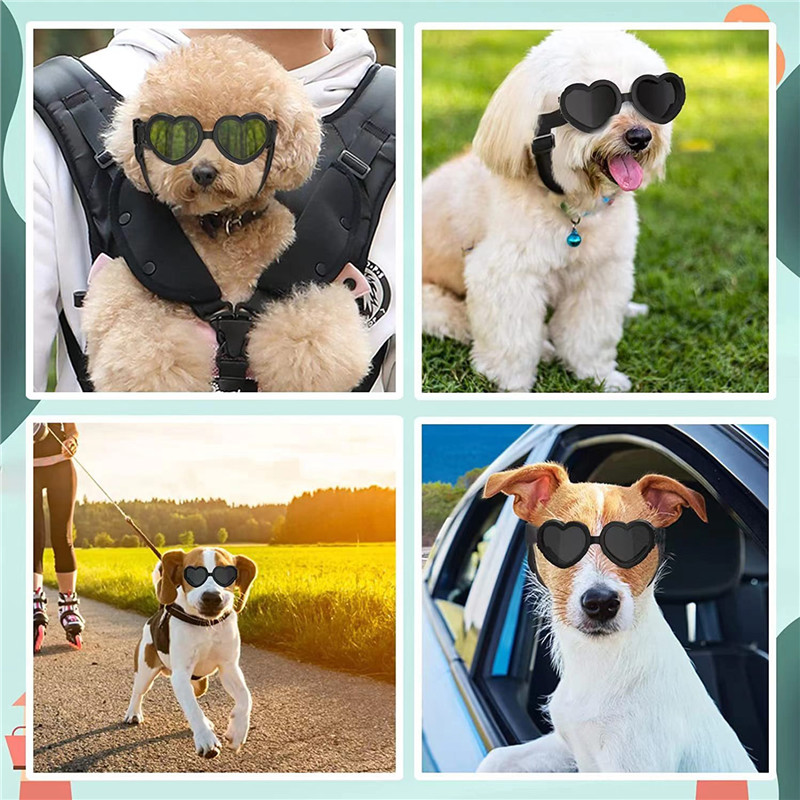 1 PC Heart-shaped Small Dog Su - Sunglass Retainer Cord บทวิจารณ์และราคา
