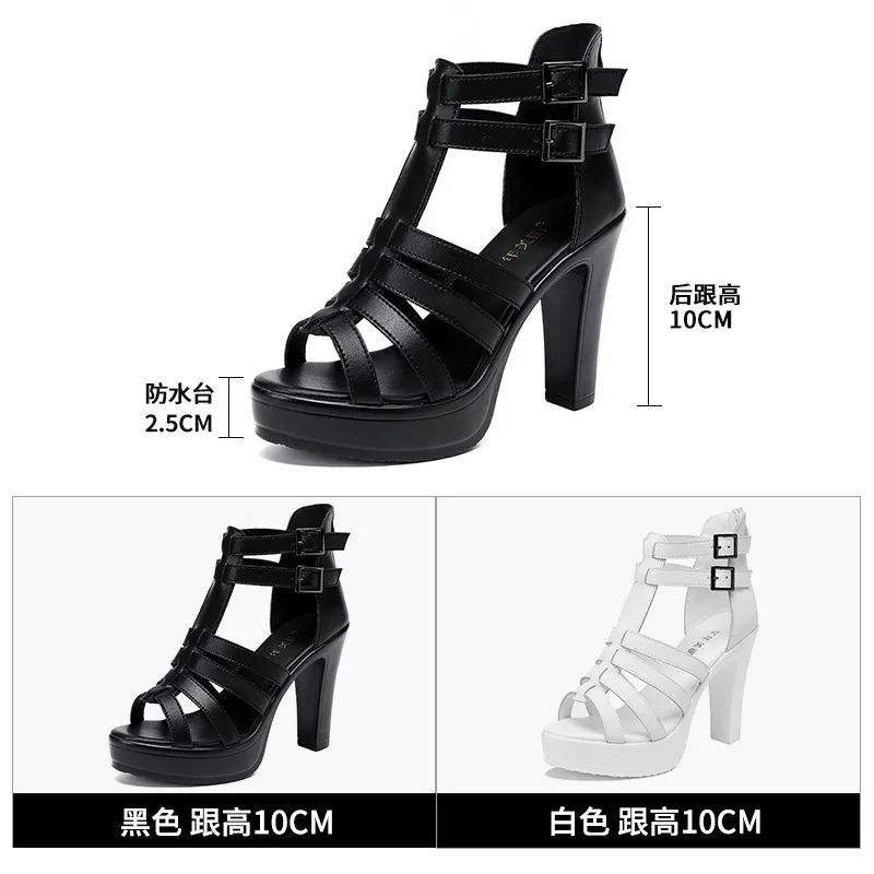 Gladiator Ladies Shoe for Wome - Casual Sandal Leather บทวิจารณ์และราคา
